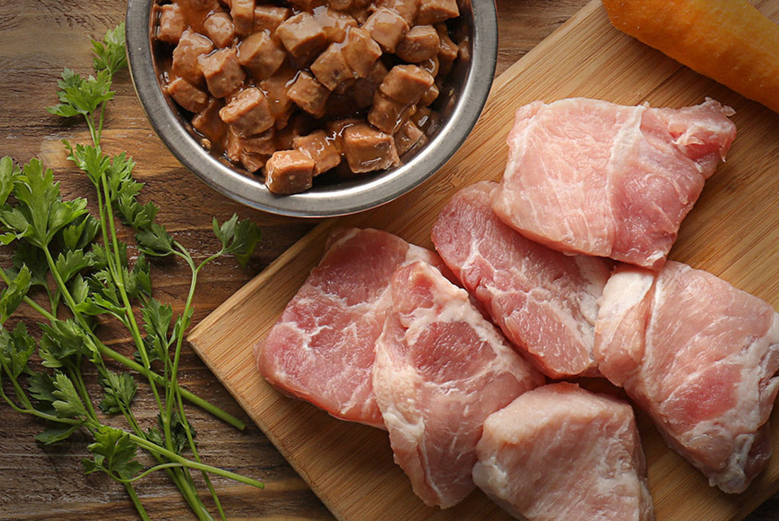 Transitioning your Dog or Cat to a Raw Diet