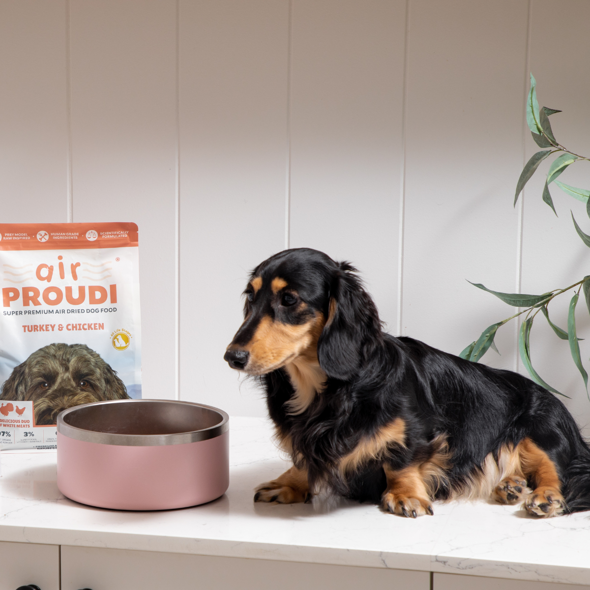 Turkey & Chicken Air Dried - for Dogs