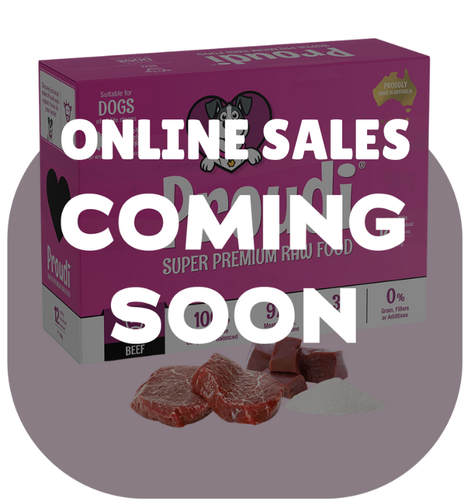Single Protein Raw Beef Patties for Dogs