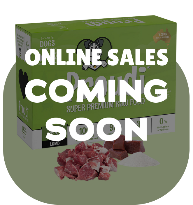 Single Protein Lamb Raw Patties for Dogs