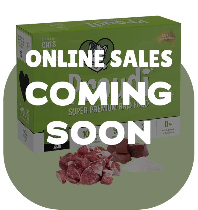 Single Protein Lamb Raw Patties for Cats