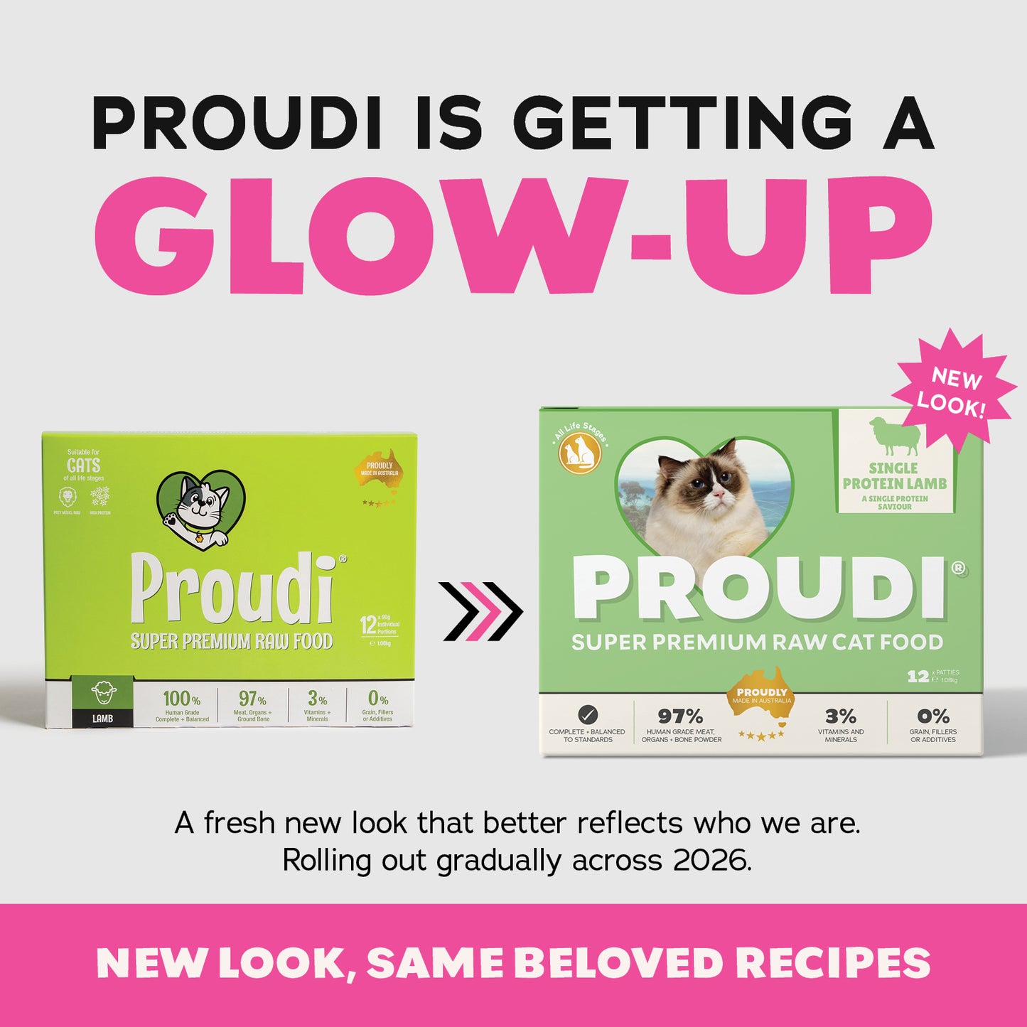 Single Protein Lamb Raw Patties for Cats