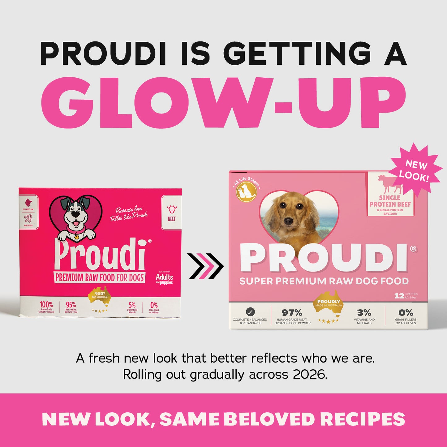 Single Protein Raw Beef Patties for Dogs