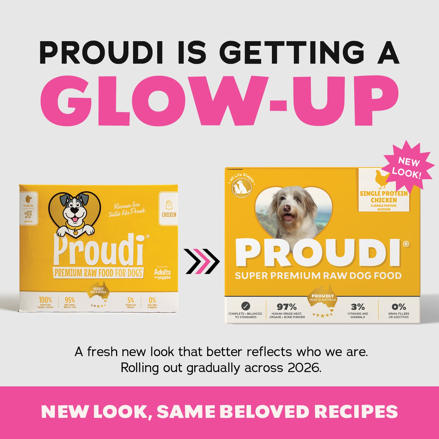 Single Protein Chicken Raw Patties for Dogs