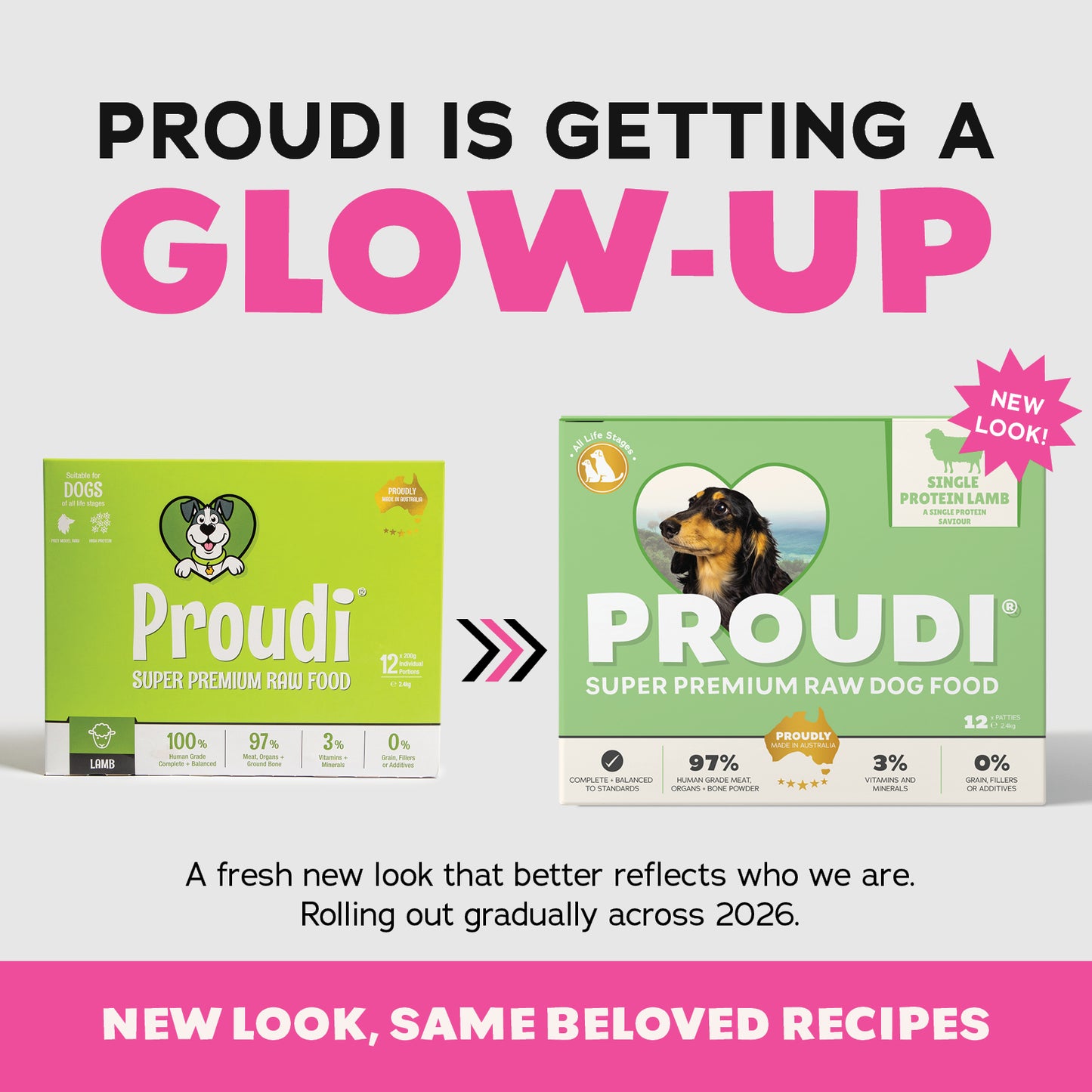 Single Protein Lamb Raw Patties for Dogs