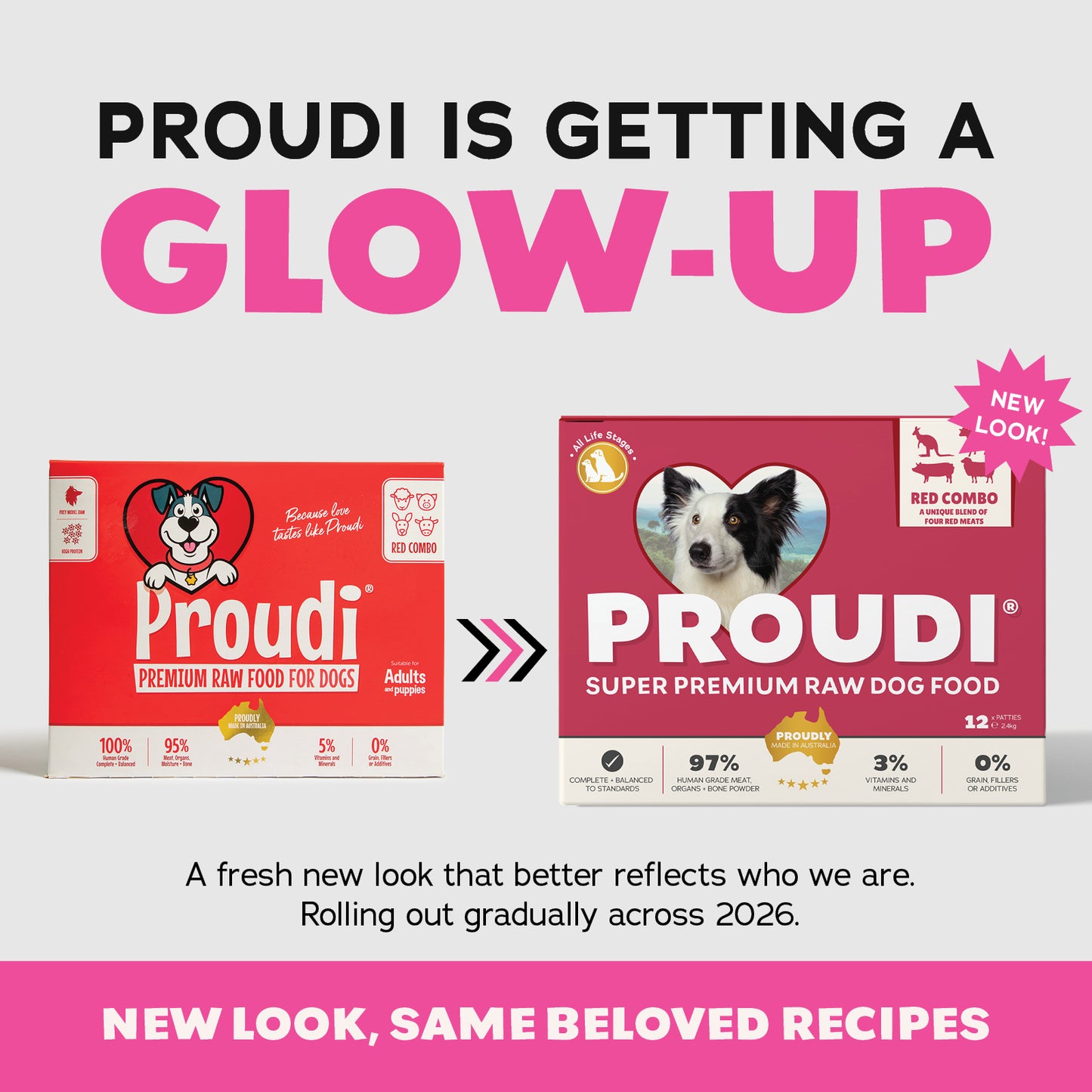 Red Combo Raw Patties for Dogs