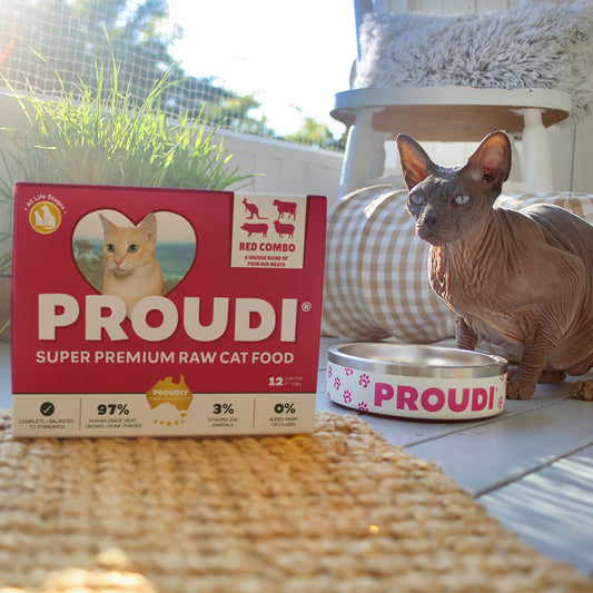 Red Combo Raw Patties for Cats