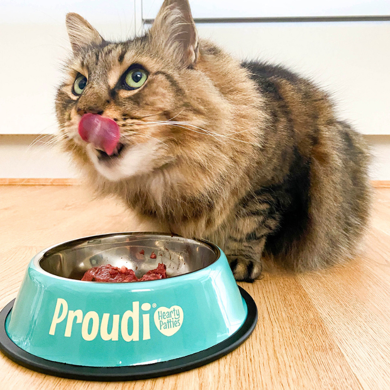 Kangaroo and Beef Raw Patties for Cats