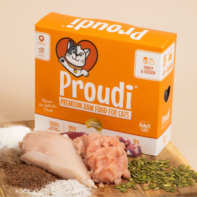 Turkey and Chicken Raw Patties for Cats
