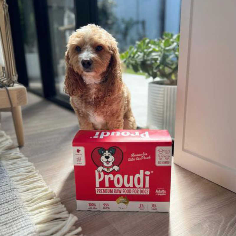 Red Combo Raw Patties for Dogs