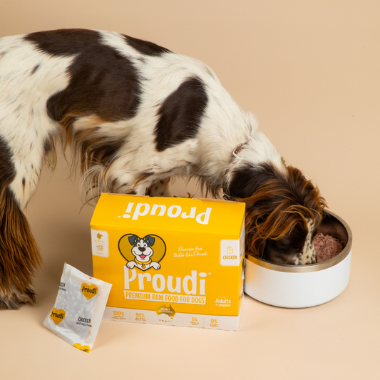 Single Protein Chicken Raw Patties for Dogs