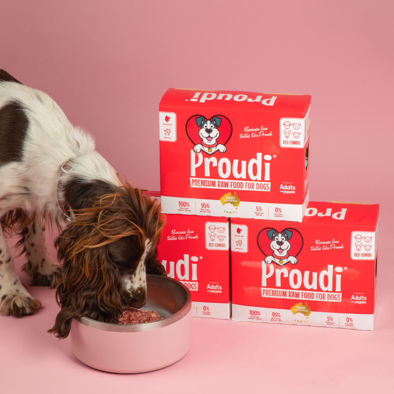 Red Combo Raw Patties for Dogs