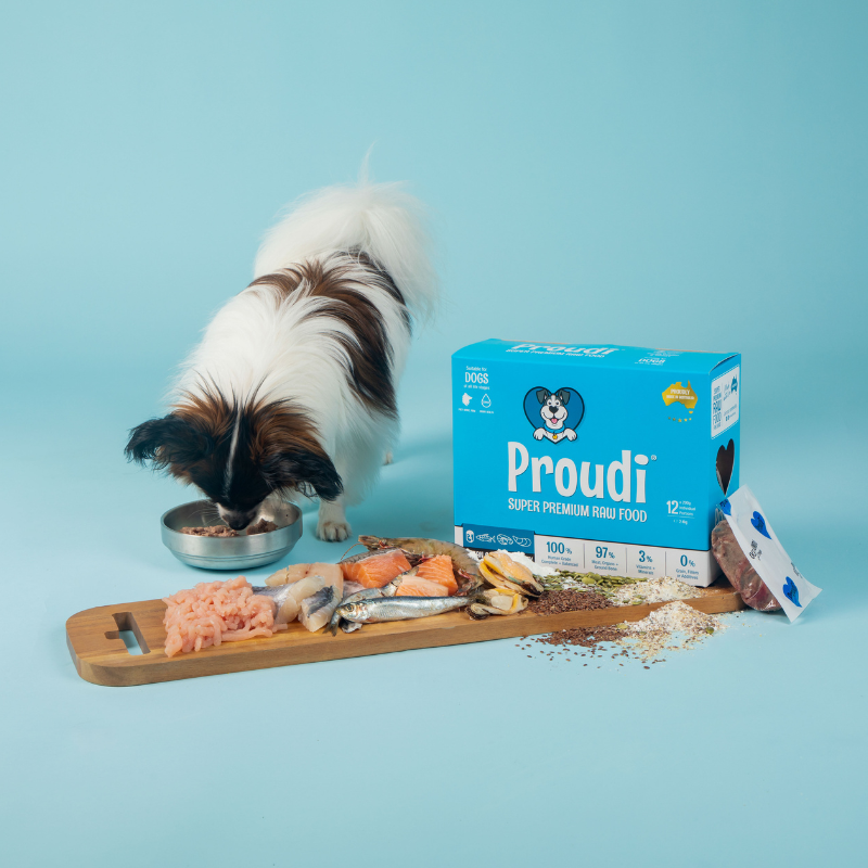 Ocean Combo and Turkey Raw Patties for Dogs