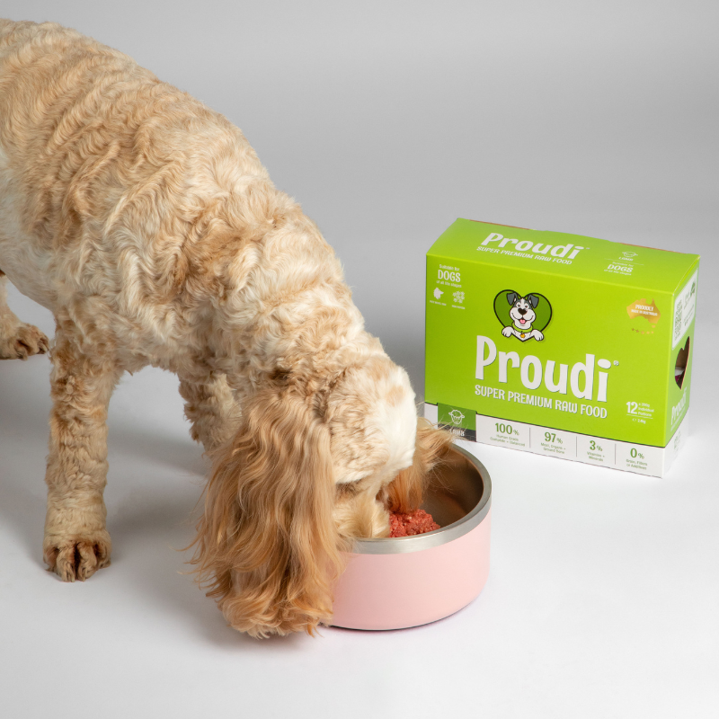 Single Protein Lamb Raw Patties for Dogs