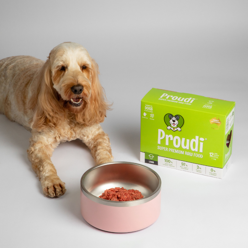 Single Protein Lamb Raw Patties for Dogs