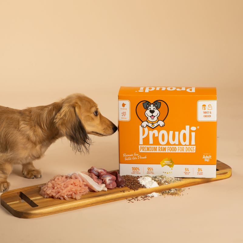 Turkey and Chicken Raw Patties for Dogs