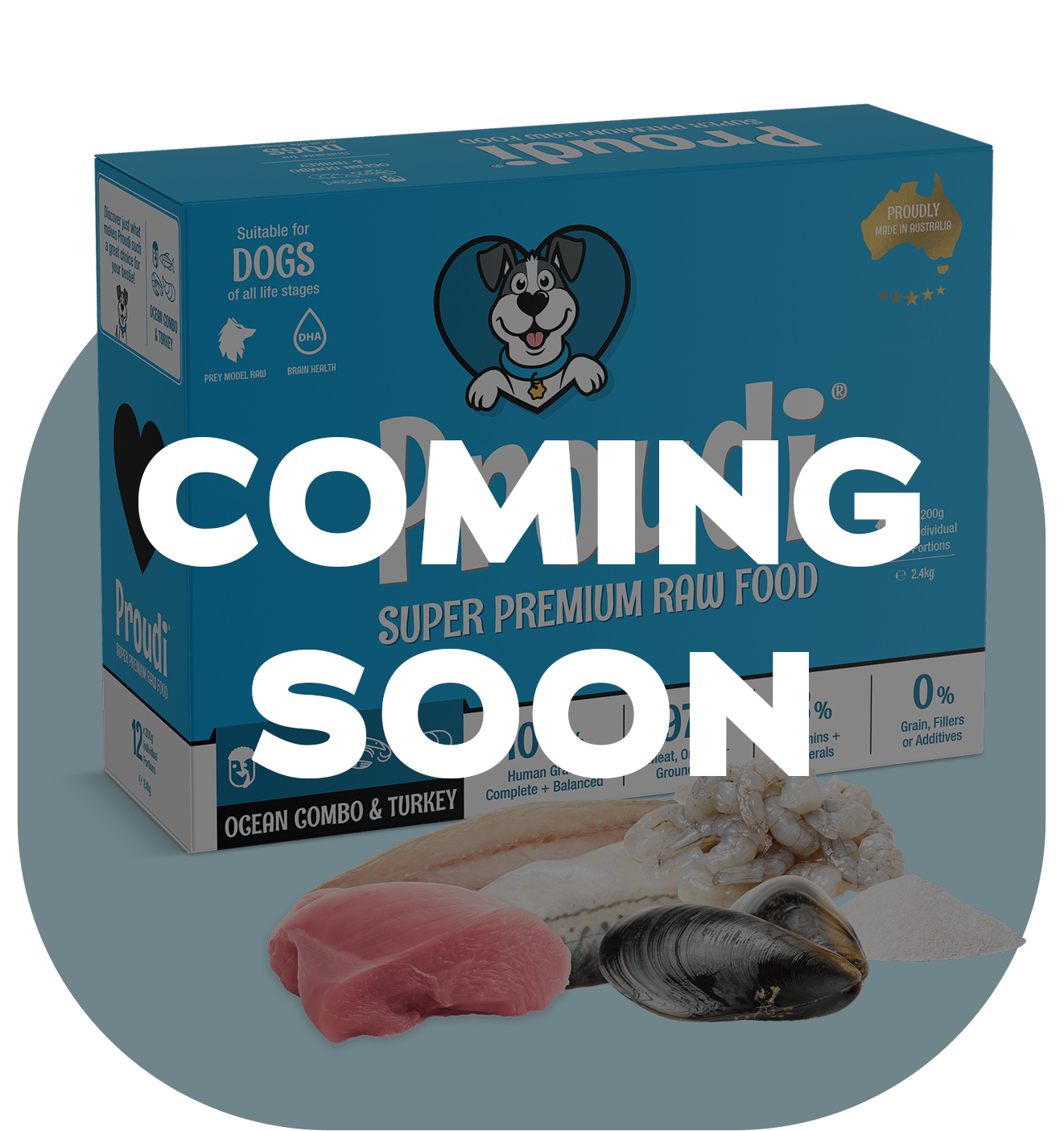 Ocean Combo and Turkey Raw Patties for Dogs