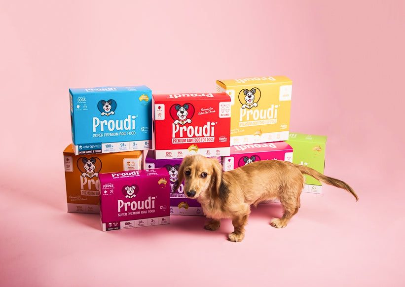 Proudi Raw Food For Dogs and Cats