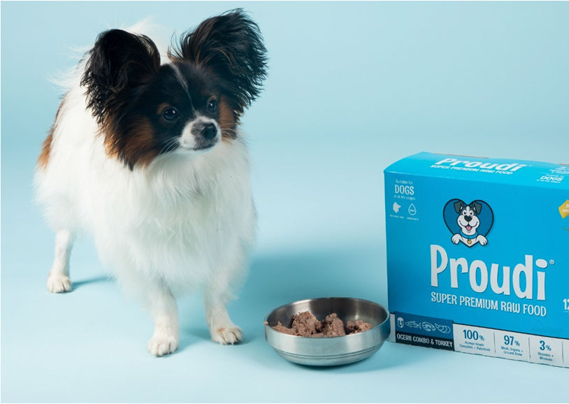 Proudi Raw Food For Dogs