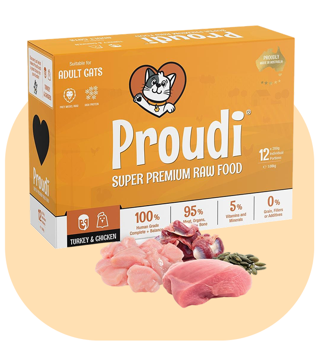 Turkey and Chicken Raw Patties for Cats