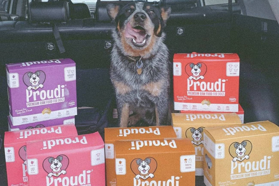 Introducing Proudi’s New Look Sustainable Packaging: An Update