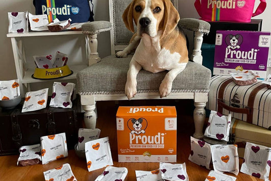 The Benefits of Raw Feeding for Dogs and Cats