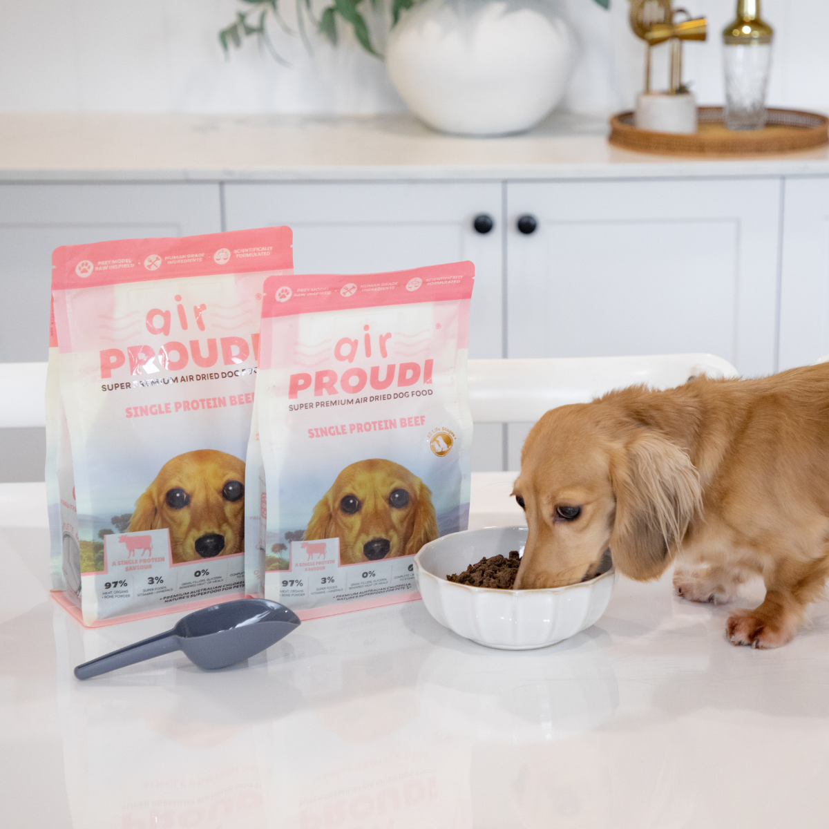 Single Protein Beef Air Dried - for Dogs