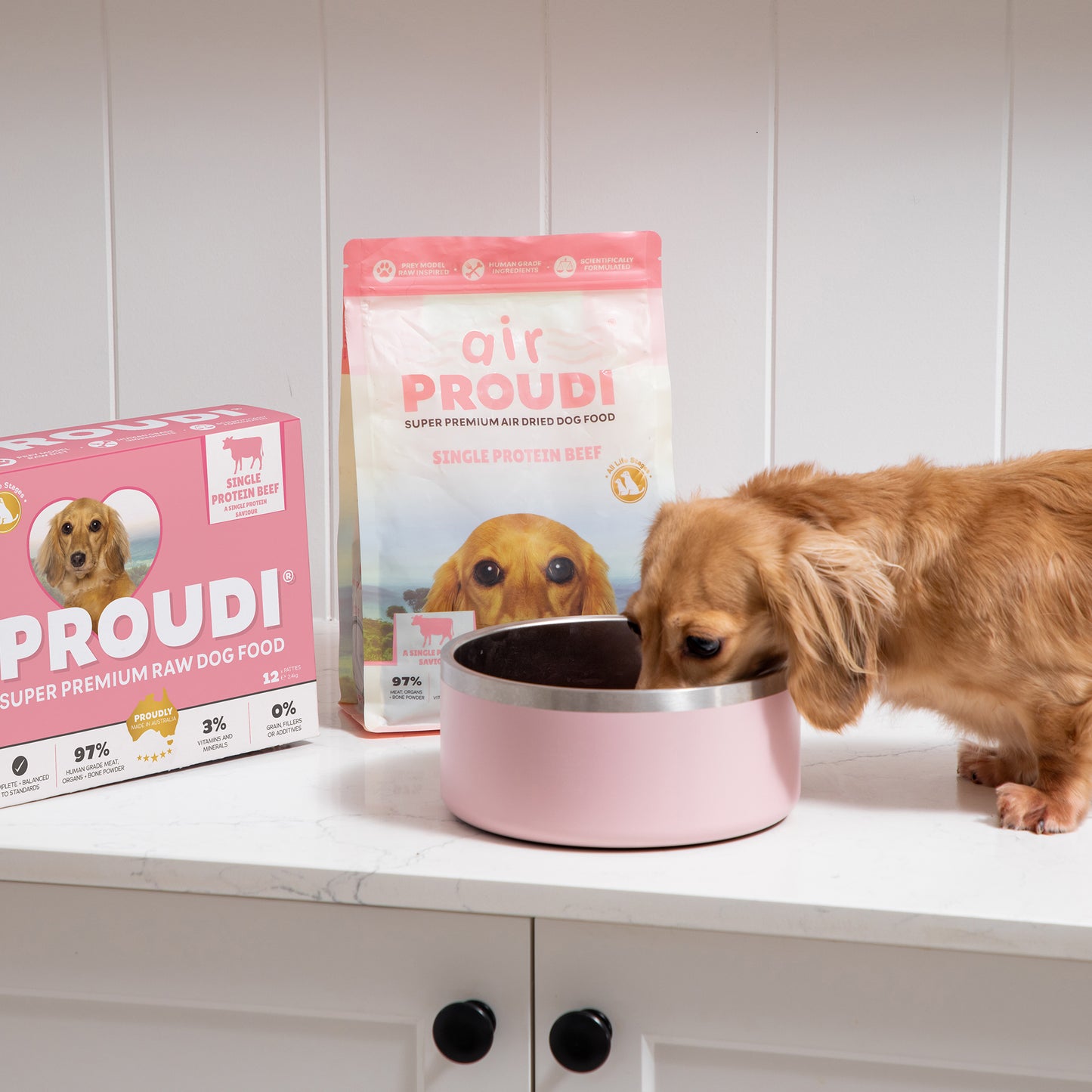 Single Protein Raw Beef Patties for Dogs