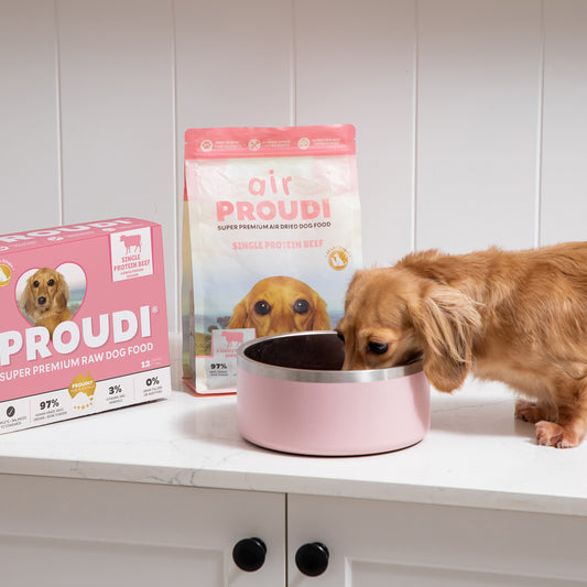 Single Protein Raw Beef Patties for Dogs