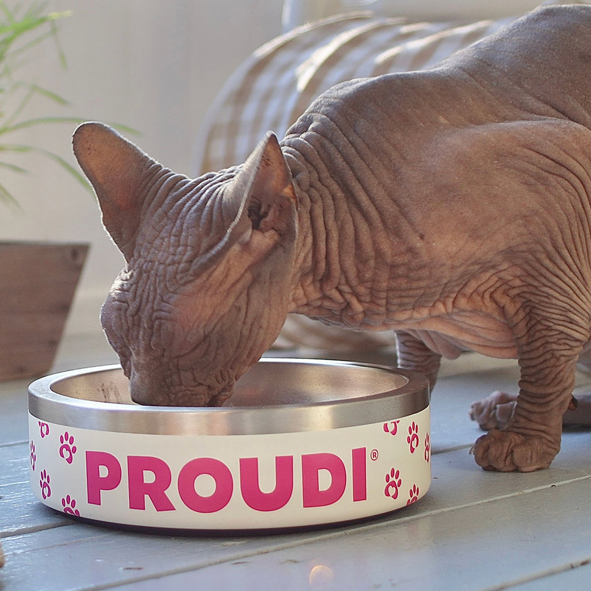 Proudi Pet Bowl