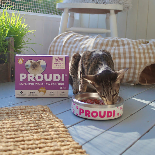 Kangaroo and Beef Raw Patties for Cats