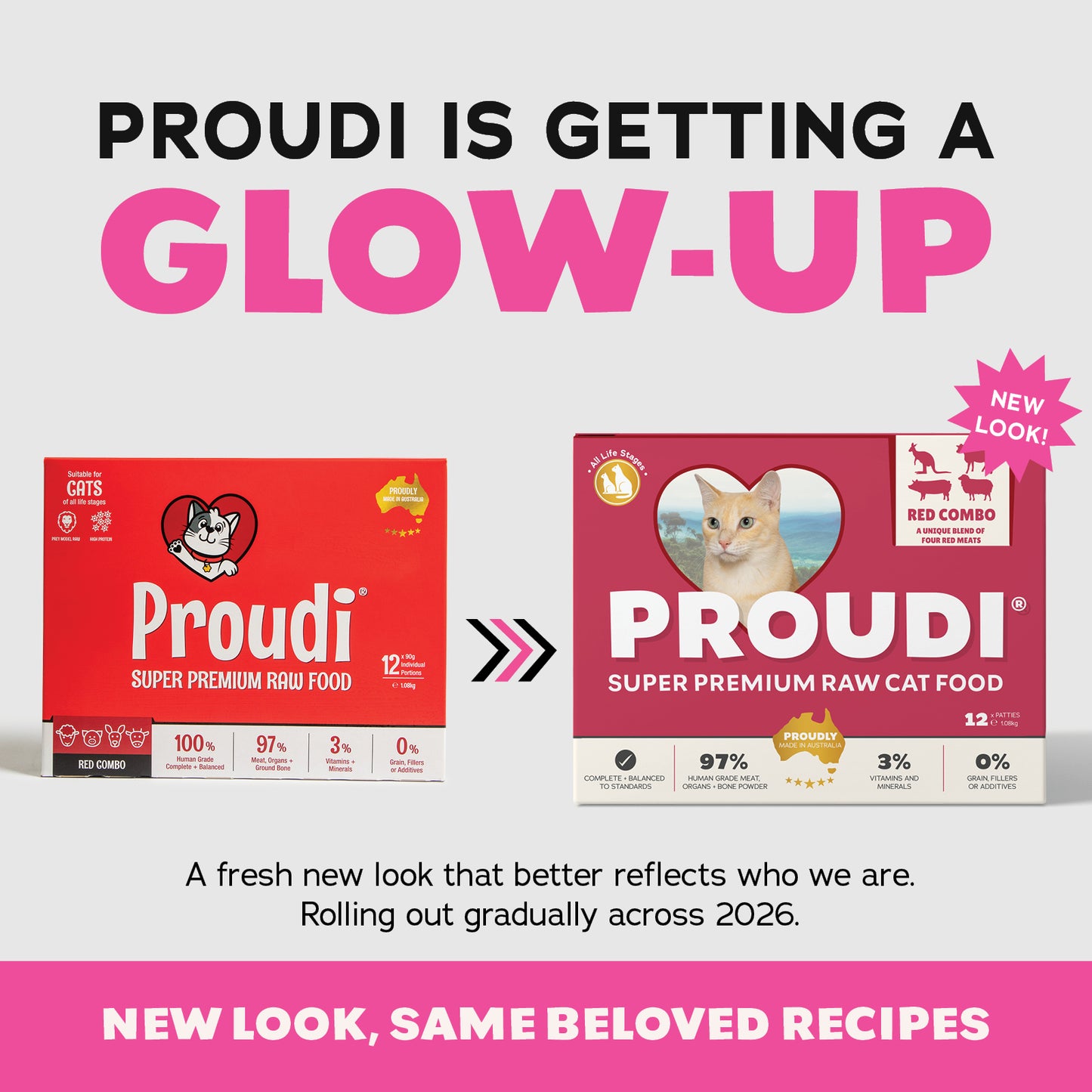 Red Combo Raw Patties for Cats