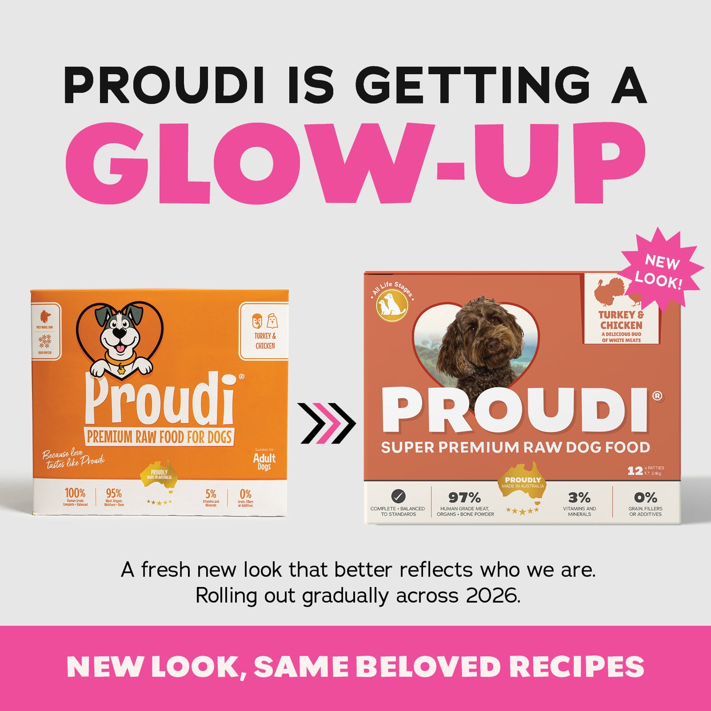Turkey and Chicken Raw Patties for Dogs