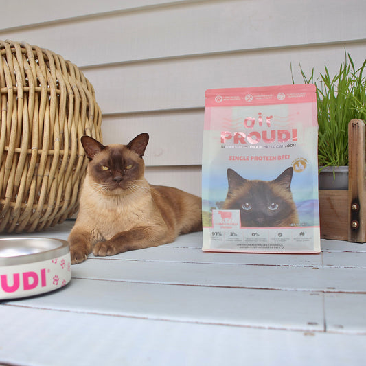 Single Protein Beef Air Dried for Cats