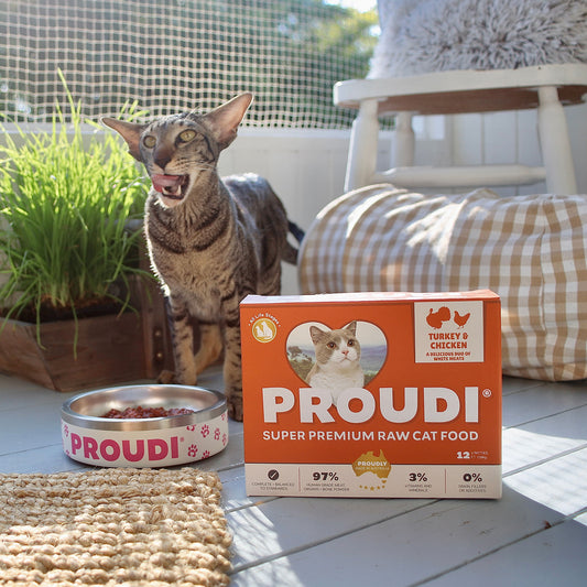 Turkey and Chicken Raw Patties for Cats