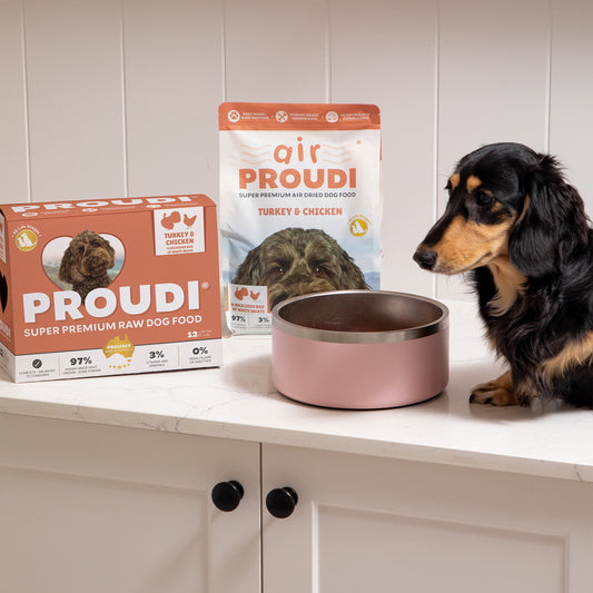 Turkey and Chicken Raw Patties for Dogs