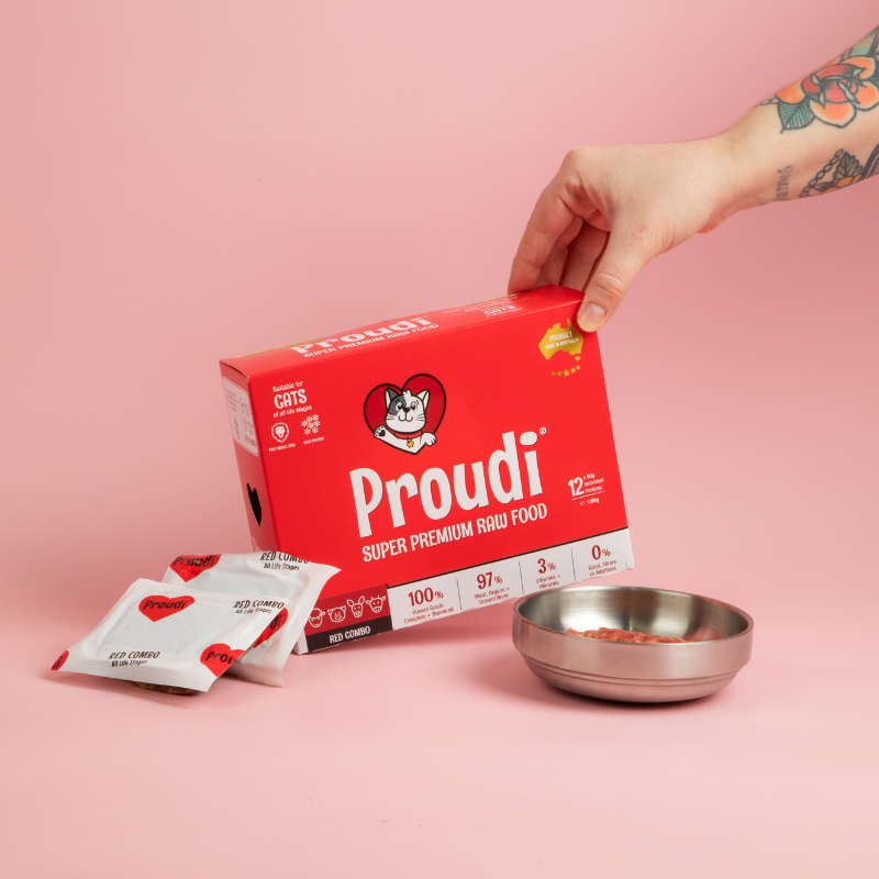 Red Combo Raw Patties for Cats