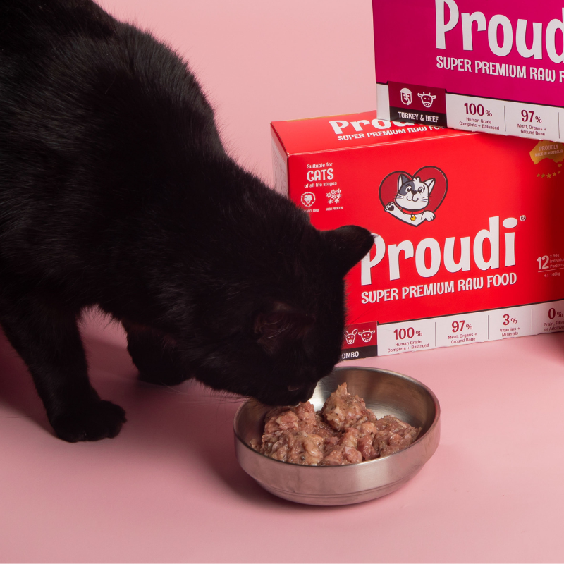 Red Combo Raw Patties for Cats
