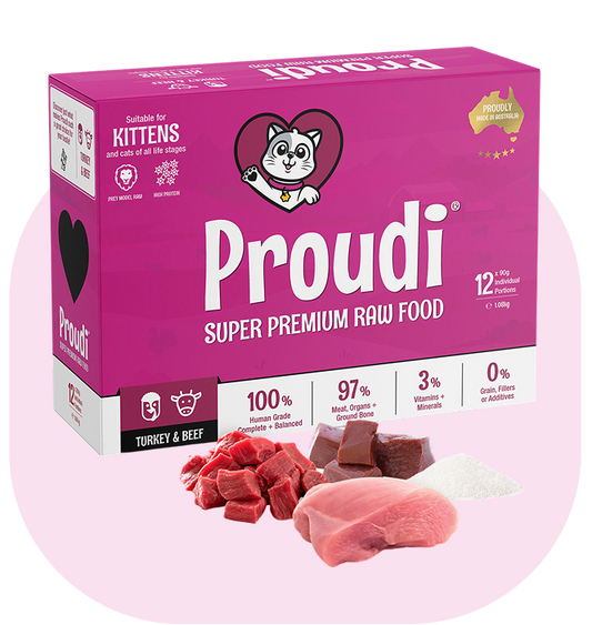 Turkey and Beef Raw Patties for Kittens
