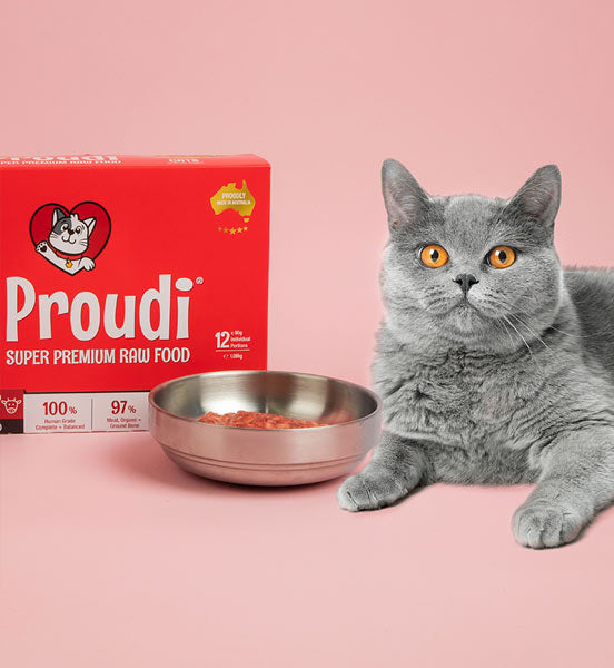Proudi Cat Food