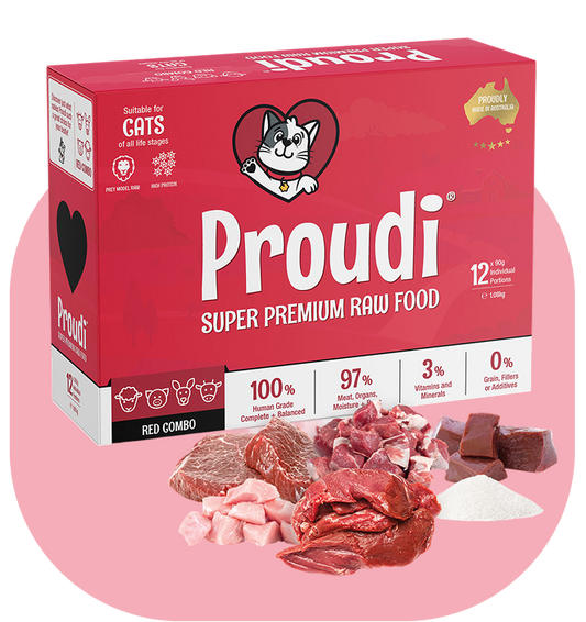 Red Combo Raw Patties for Cats