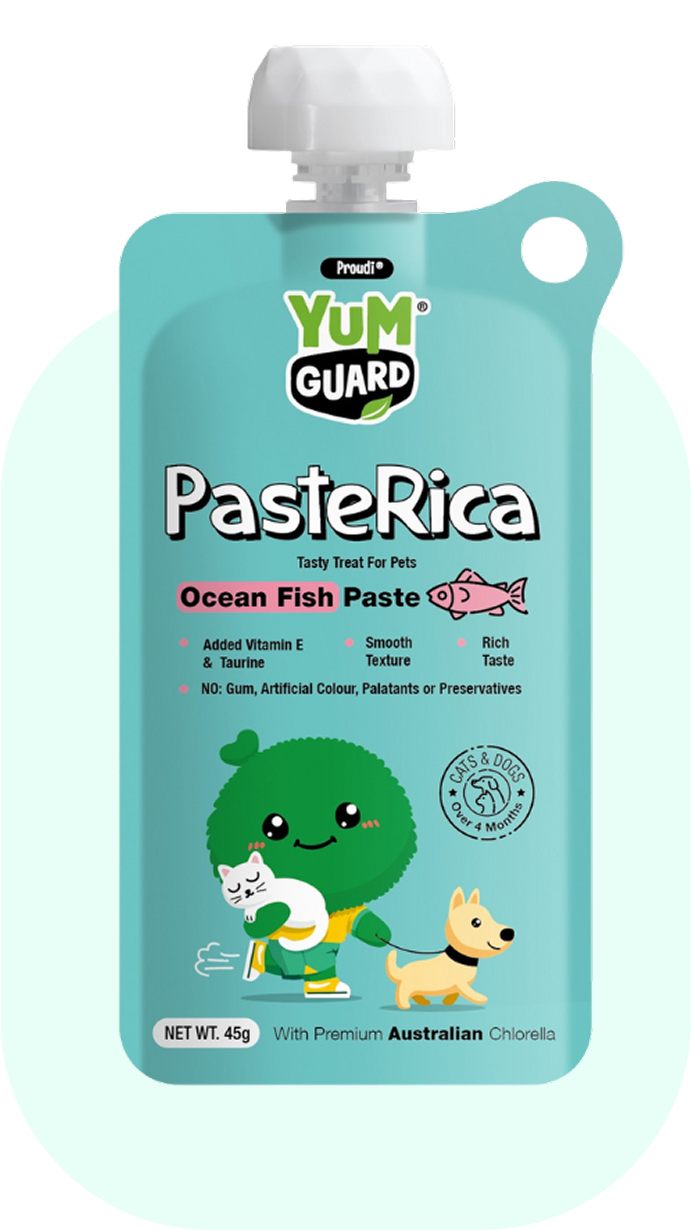 Ocean Fish Paste