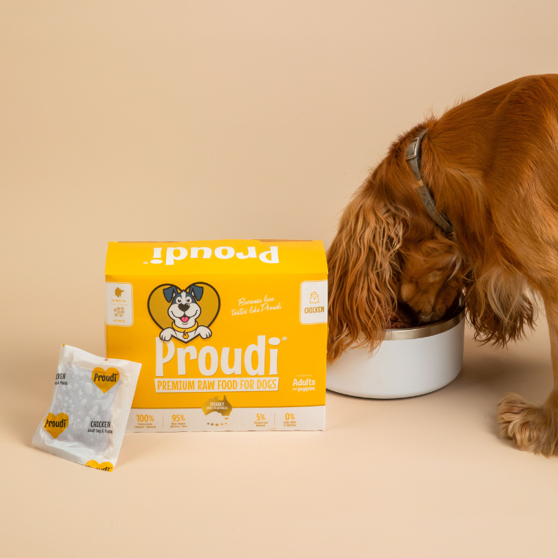 Proudi Chicken for dogs