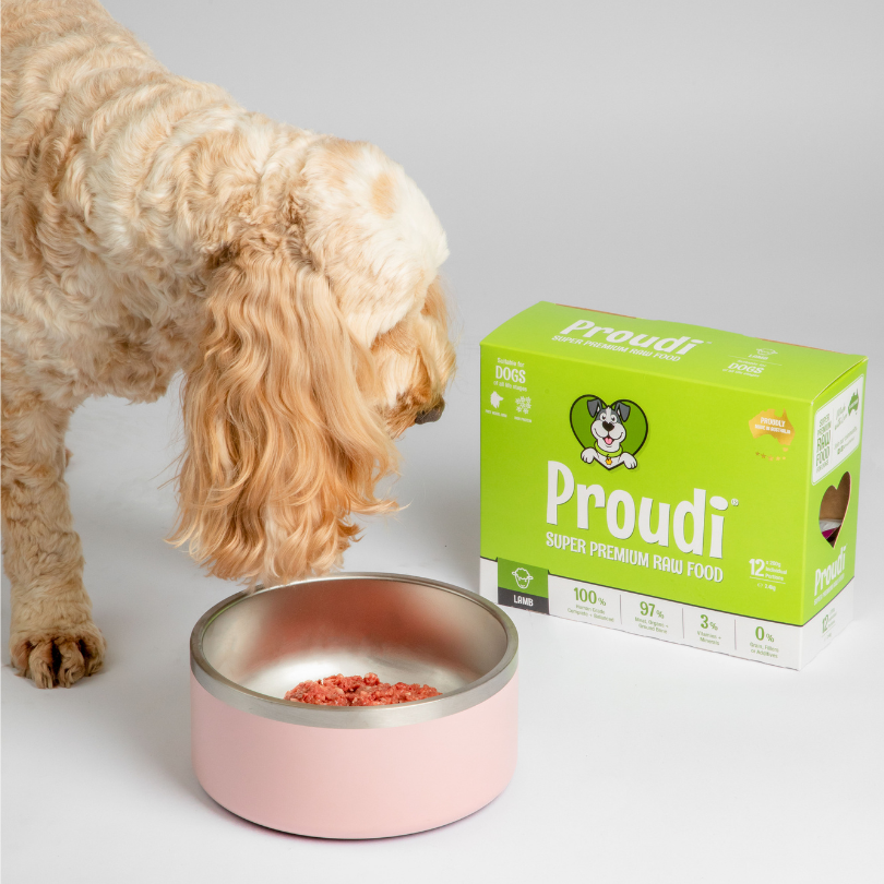 Proudi Lamb for dogs