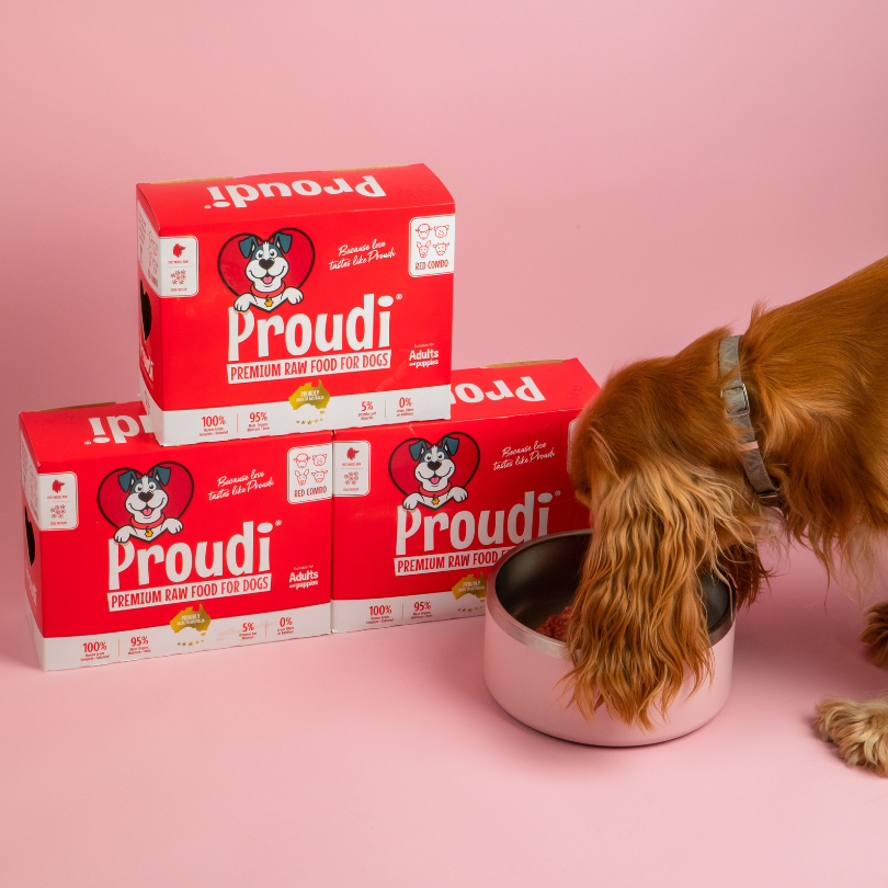 Proudi Red Combo for dogs