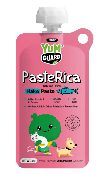 paste-rica-hake
