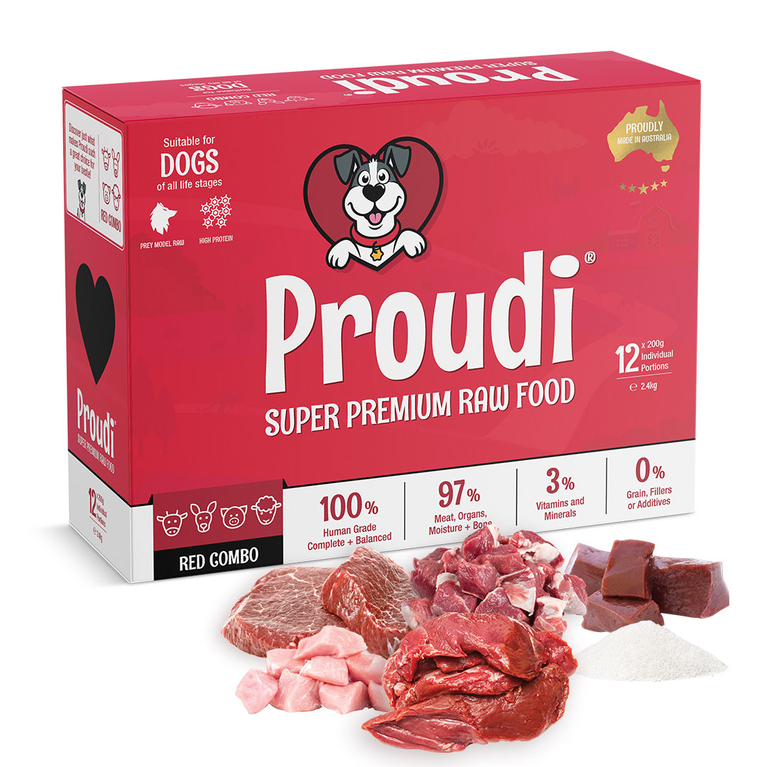 Proudi-Dog-Red-Combo